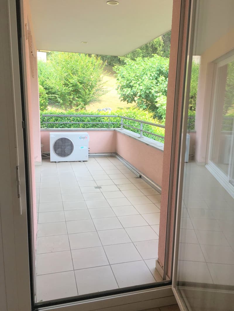 Geräumige und helle Wohnung in Breganzona (10)