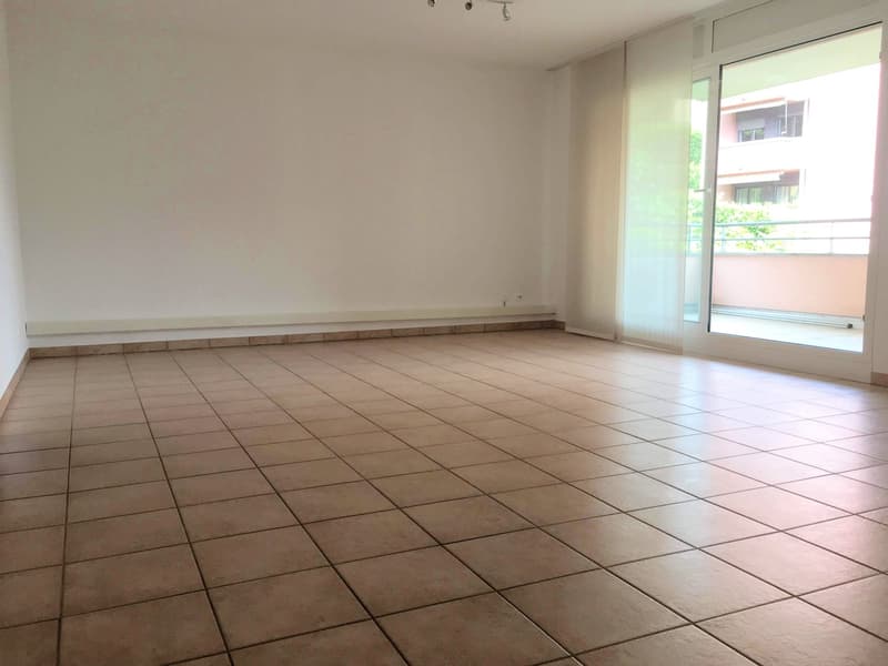 Geräumige und helle Wohnung in Breganzona (8)