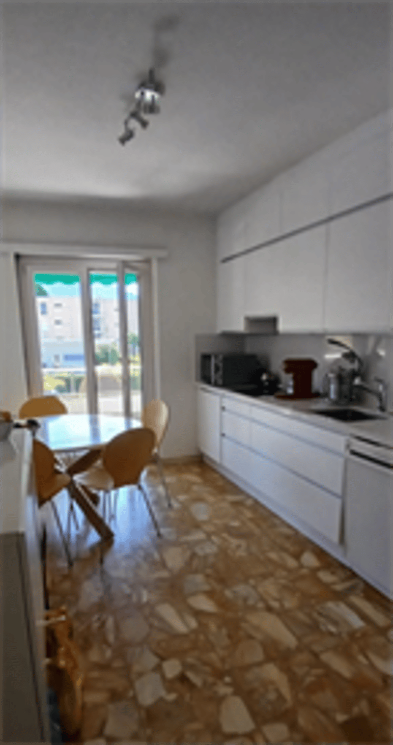 Einzigartige 3.5-Zimmer-Wohnung in Massagno (6)