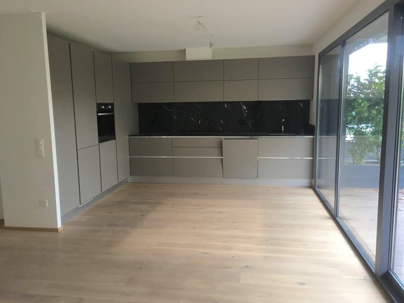 Pregassona, elegantes 4,5-Zimmer-Wohnung mit Garten (6)