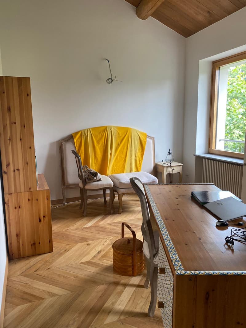 Belle Maison de Campagne de 12 Pièces avec Vignoble à Breganzona (12)