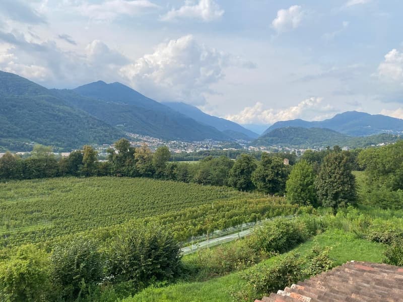 Belle Maison de Campagne de 12 Pièces avec Vignoble à Breganzona (18)
