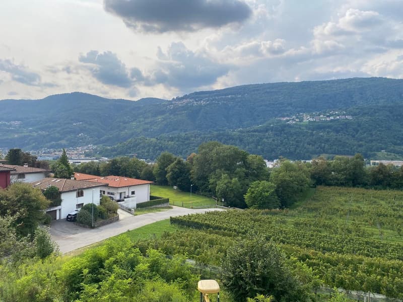 Belle Maison de Campagne de 12 Pièces avec Vignoble à Breganzona (19)