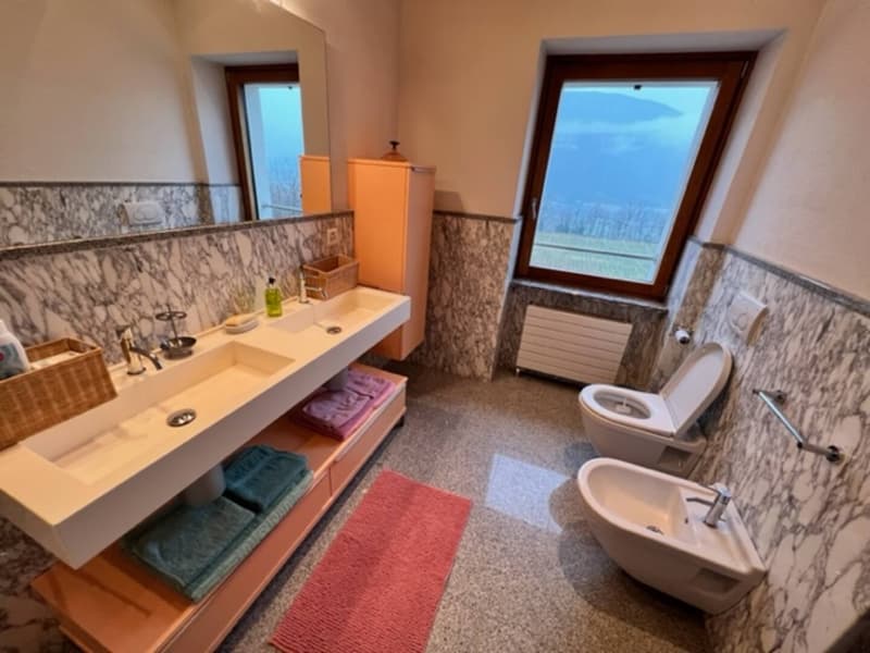 Belle Maison de Campagne de 12 Pièces avec Vignoble à Breganzona (26)