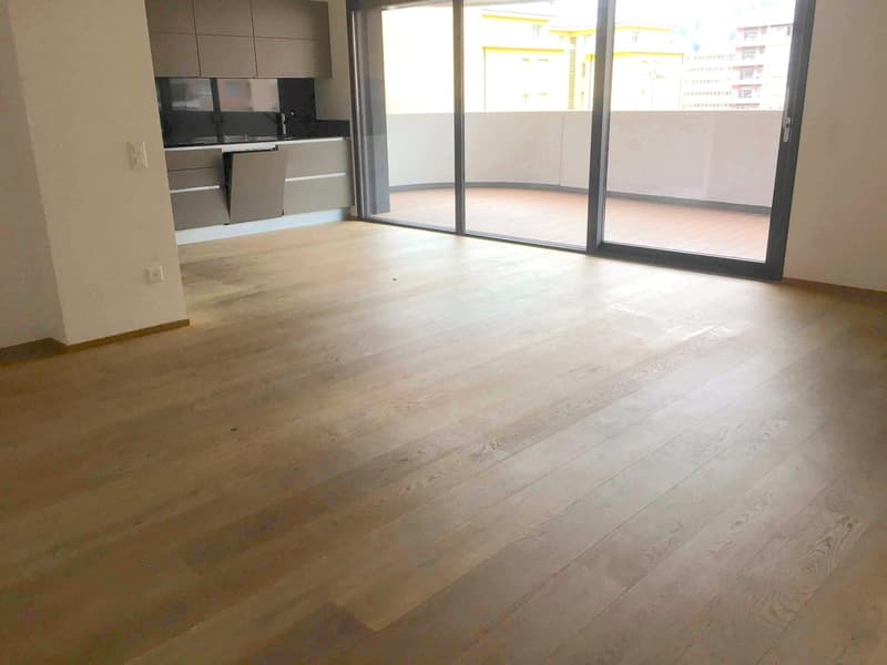 Helllichtes und elegantes 4,5-Zimmer-Wohnung in Pregassona (5)