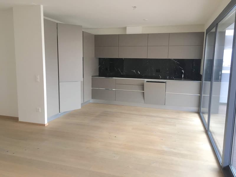 Helllichtes und elegantes 4,5-Zimmer-Wohnung in Pregassona (4)