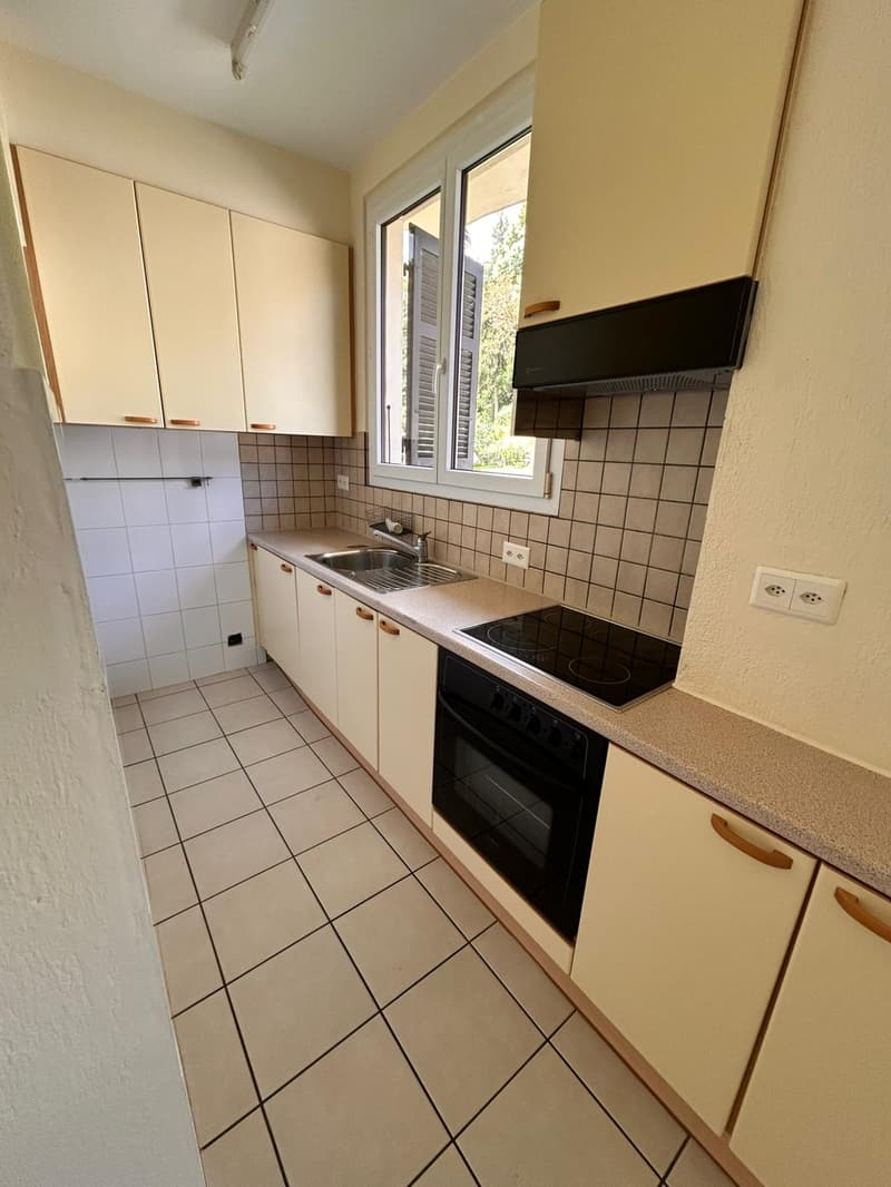 Appartamento  4.5 locali a Monteggio (3)