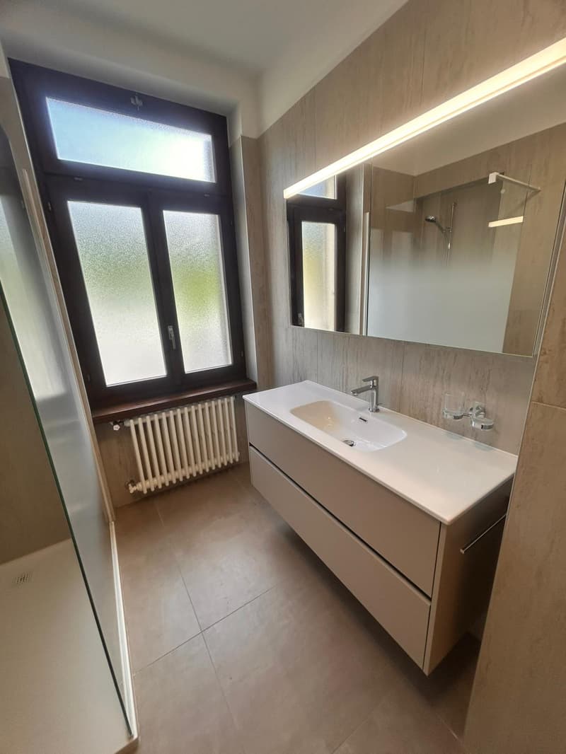 Appartamento  4.5 locali a Monteggio (9)