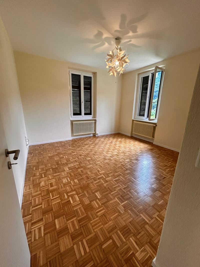 Appartamento  4.5 locali a Monteggio (10)