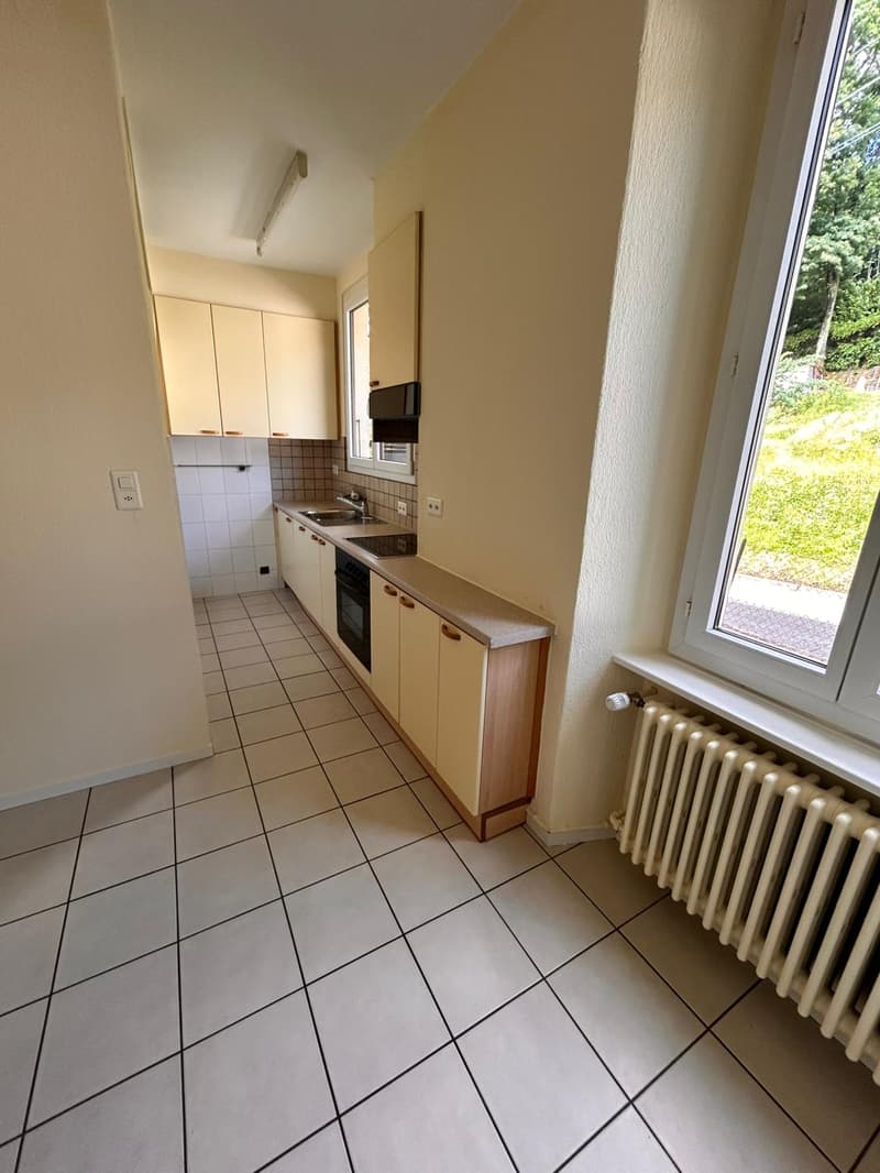 Appartamento  4.5 locali a Monteggio (2)