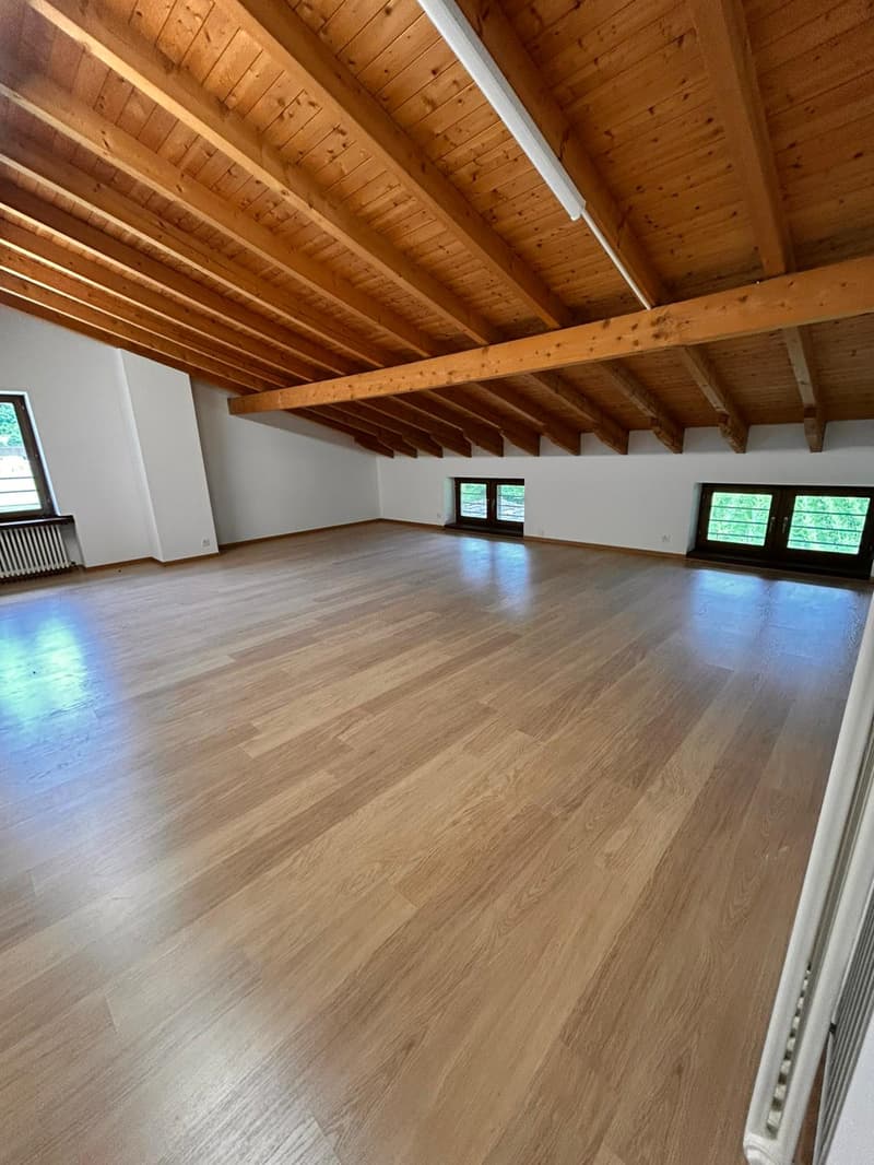 Espace commercial à Monteggio (2)