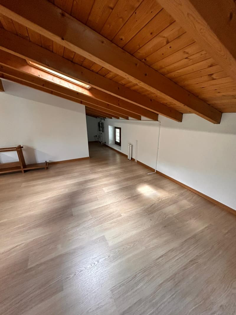 Espace commercial à Monteggio (3)
