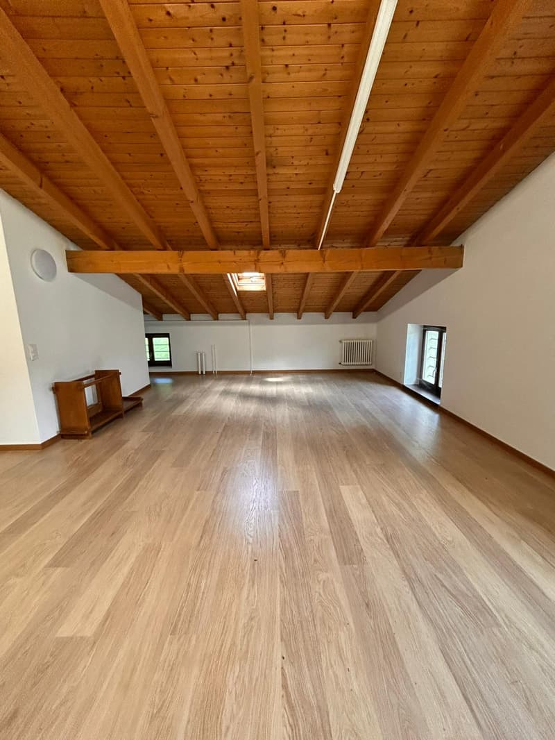 Espace commercial à Monteggio (4)