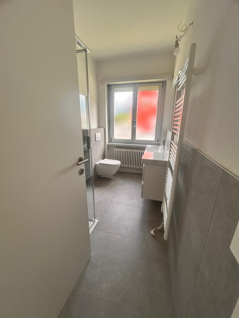 Wohnung 3.5 Zimmer in Mendrisio (5)