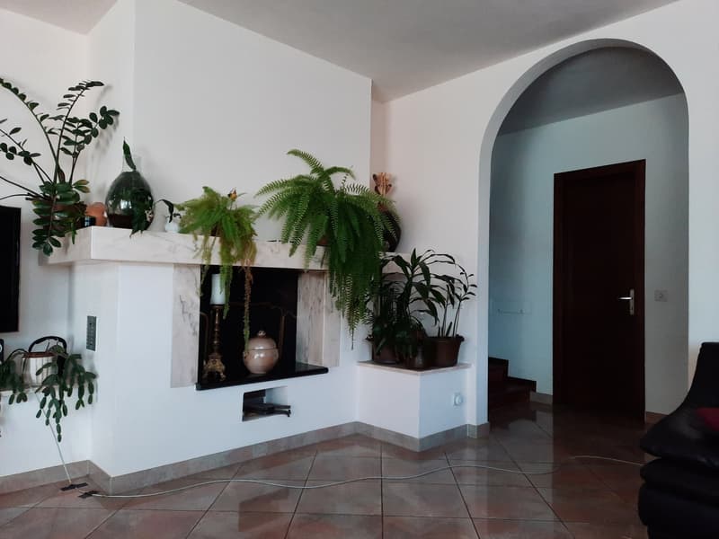 Prächtige 9-Zimmer-Villa in Manno, Tessin (7)