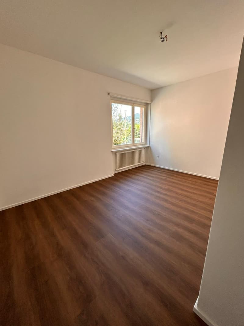 Wohnung 3.5 Zimmer komplett renoviert in Mendrisio (5)
