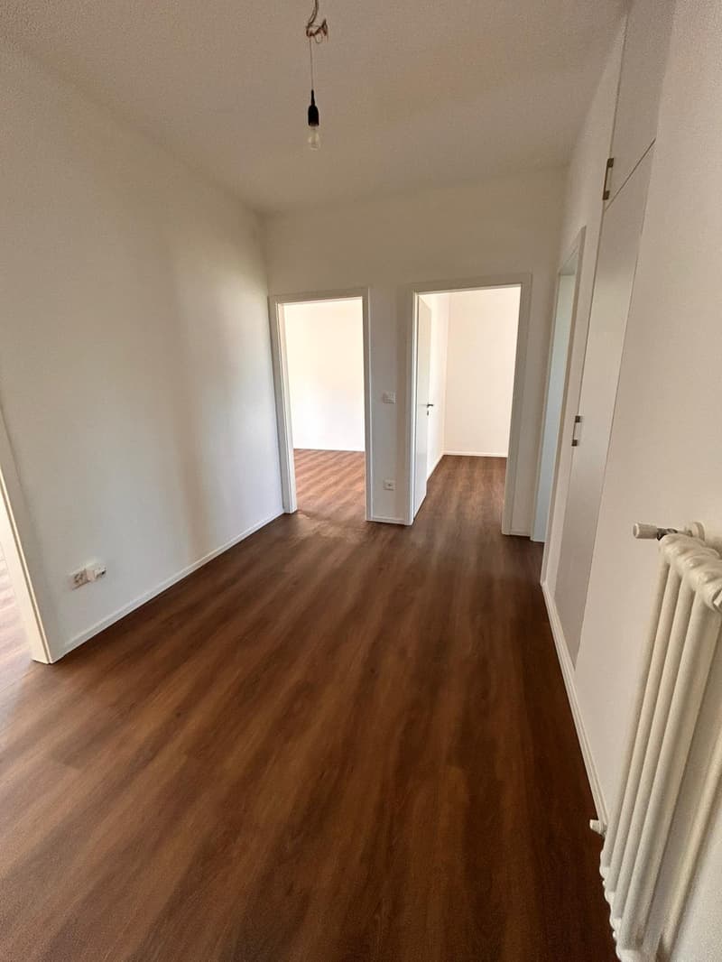 Wohnung 3.5 Zimmer komplett renoviert in Mendrisio (2)