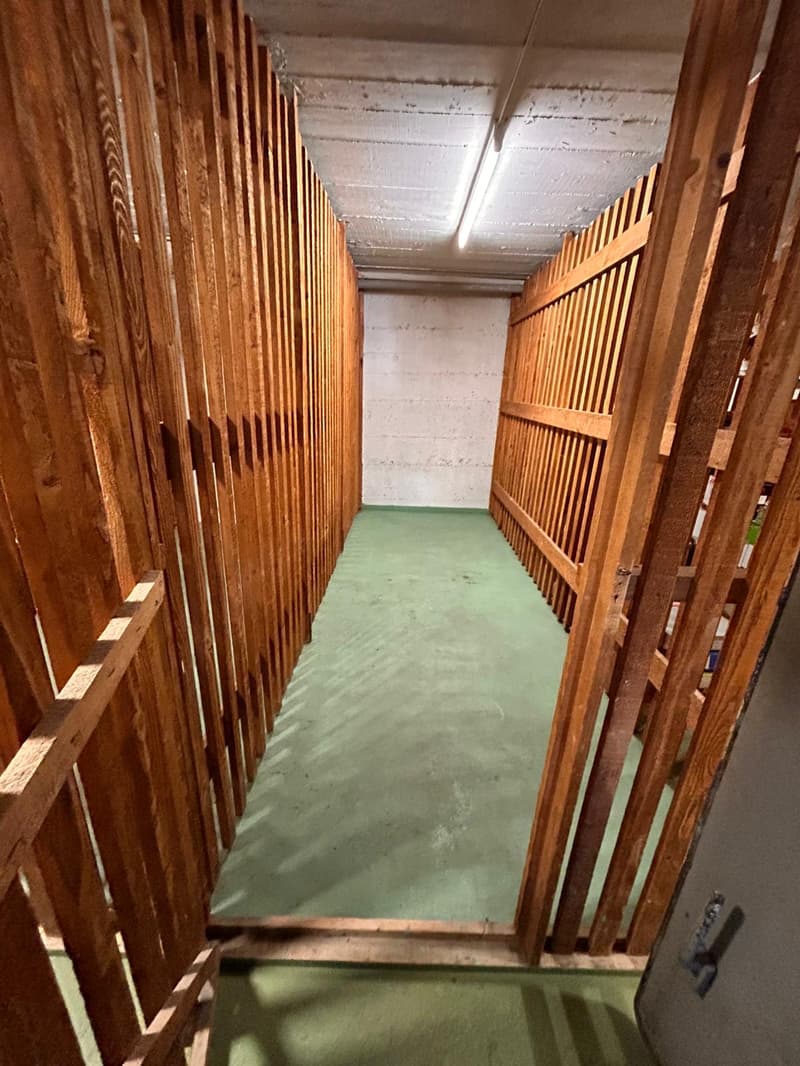 Wohnung 3.5 Zimmer komplett renoviert in Mendrisio (14)