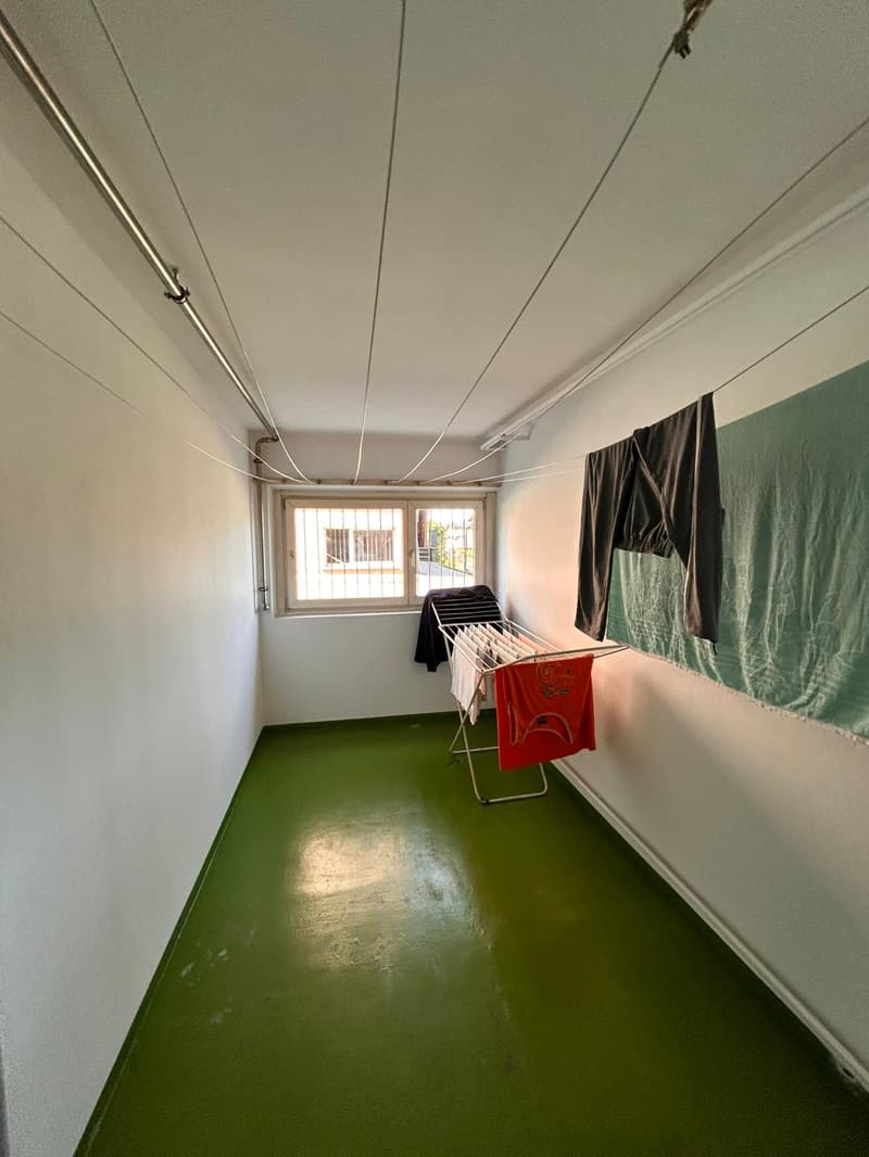 Wohnung 3.5 Zimmer komplett renoviert in Mendrisio (11)