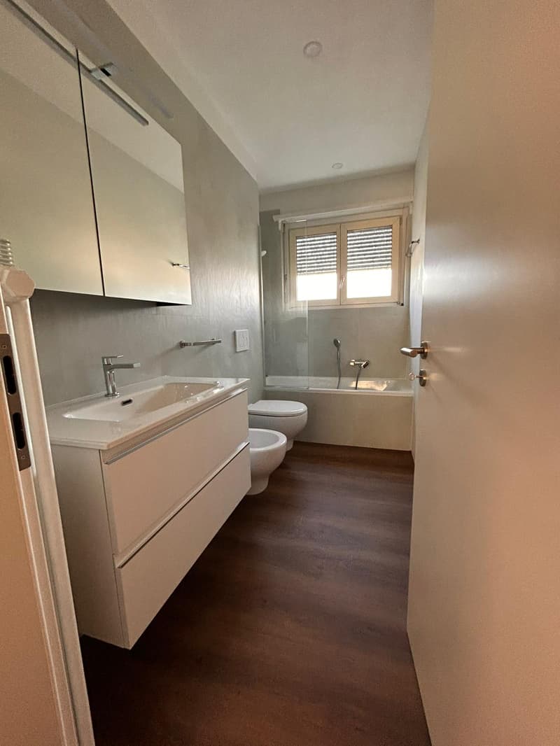 Wohnung 3.5 Zimmer komplett renoviert in Mendrisio (8)