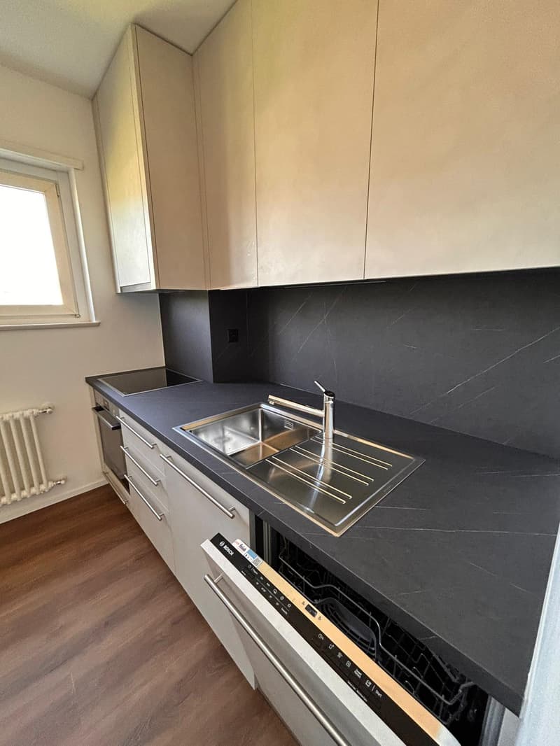 Wohnung 3.5 Zimmer komplett renoviert in Mendrisio (4)