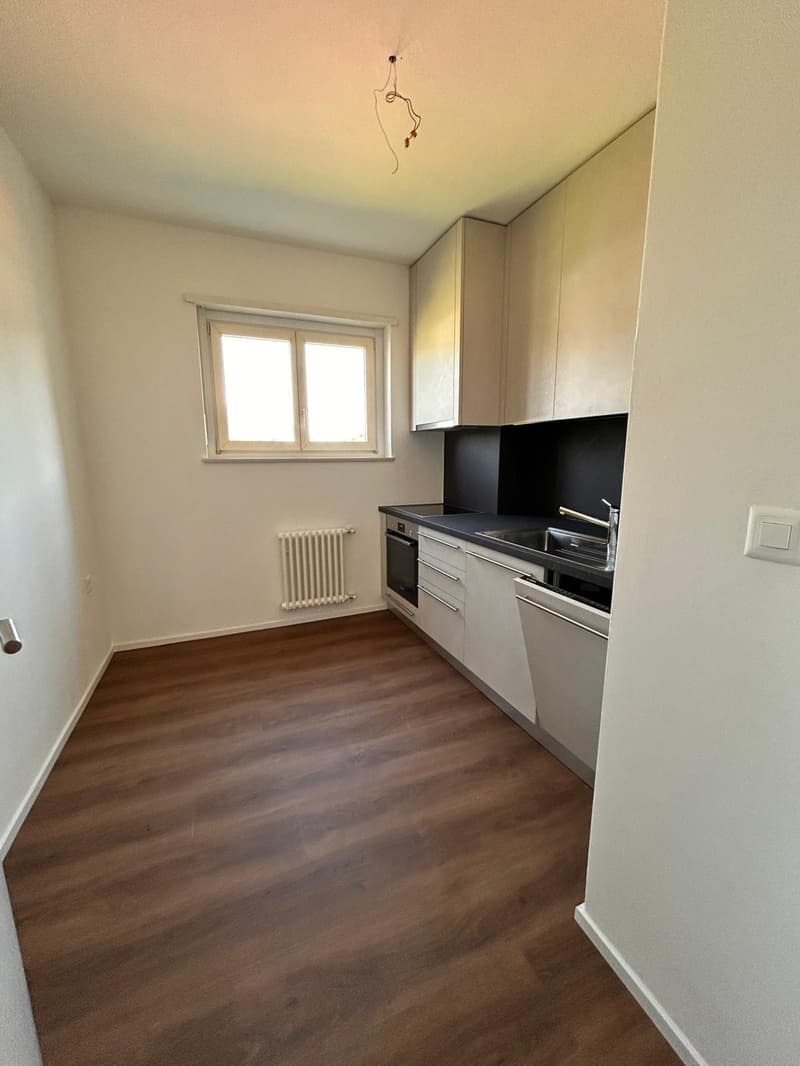 Wohnung 3.5 Zimmer komplett renoviert in Mendrisio (3)