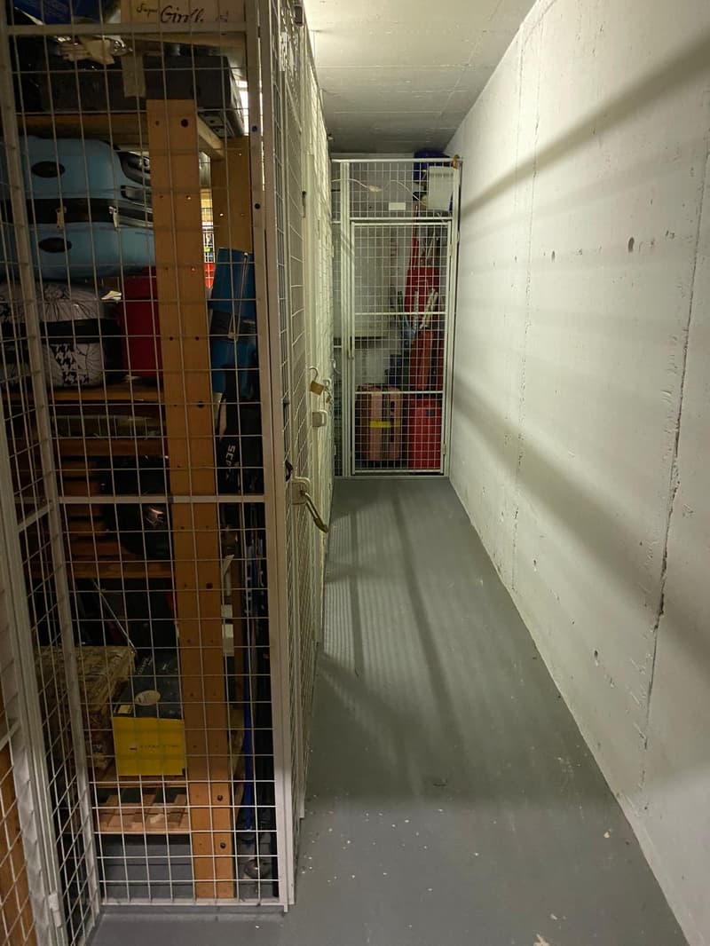 Atemberaubendes 4,5-Zimmer-Dachapartment mit Seeblick in Bissone (26)
