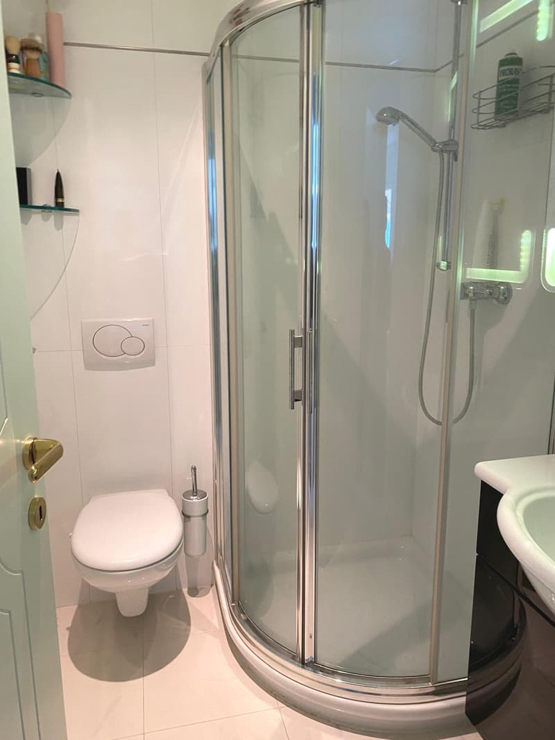 Atemberaubendes 4,5-Zimmer-Dachapartment mit Seeblick in Bissone (11)
