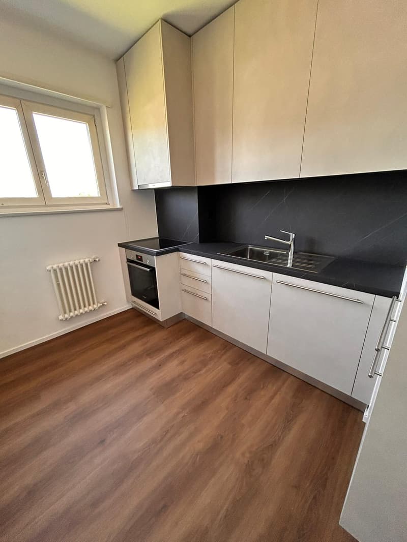 Helles Apartment in optimaler Lage in Mendrisio (4)