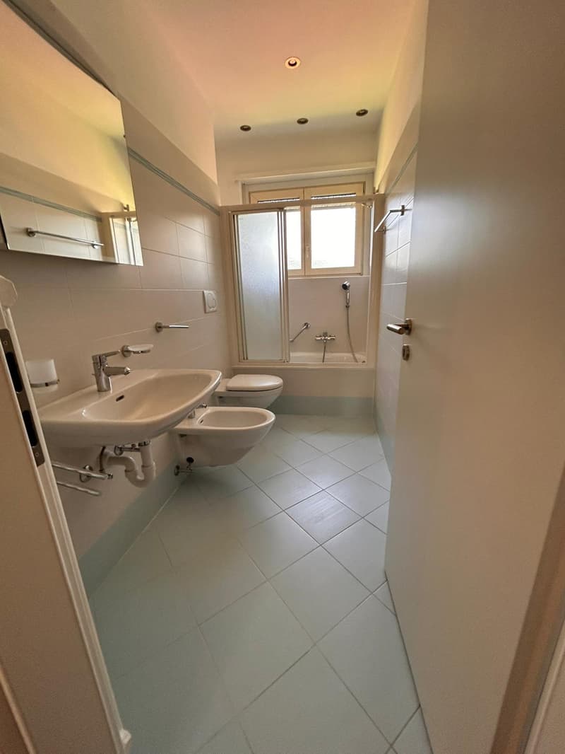 Helles Apartment in optimaler Lage in Mendrisio (9)