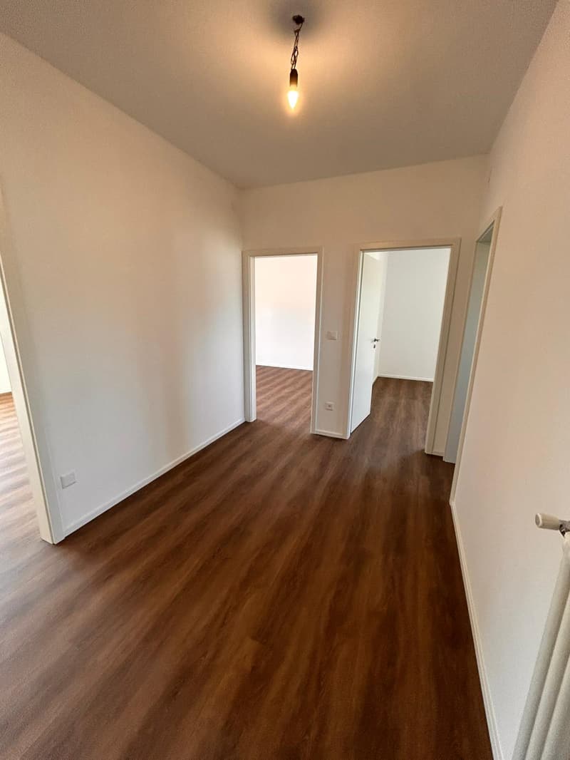 Helles Apartment in optimaler Lage in Mendrisio (2)