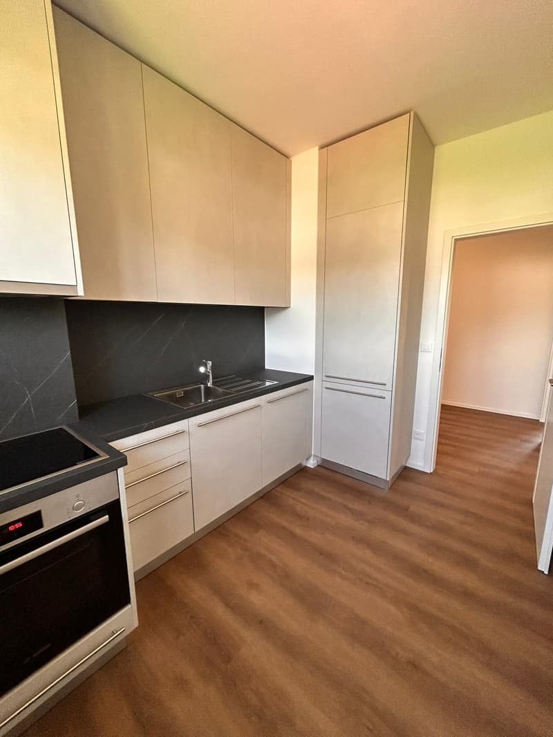Helles Apartment in optimaler Lage in Mendrisio (3)