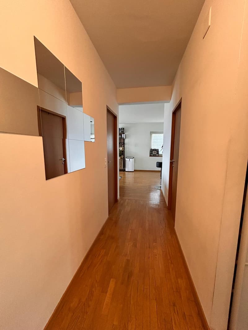 Appartamento con vista lago a Porza (11)