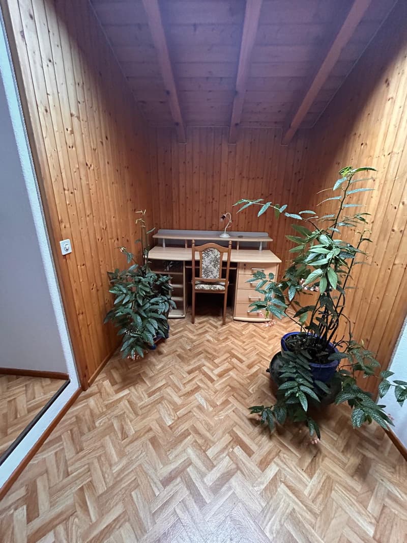 Independent house in the heart of Medeglia (12)