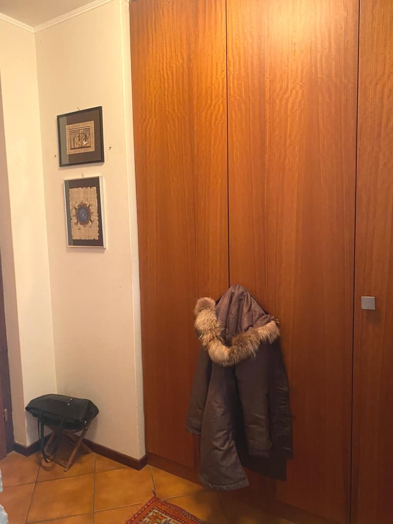 Appartement confortable de 4 pièces avec vue partielle sur le lac (8)