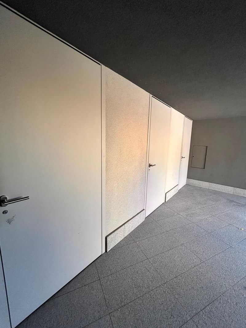 Appartement élégant de 3,5 pièces à Lugaggia (24)