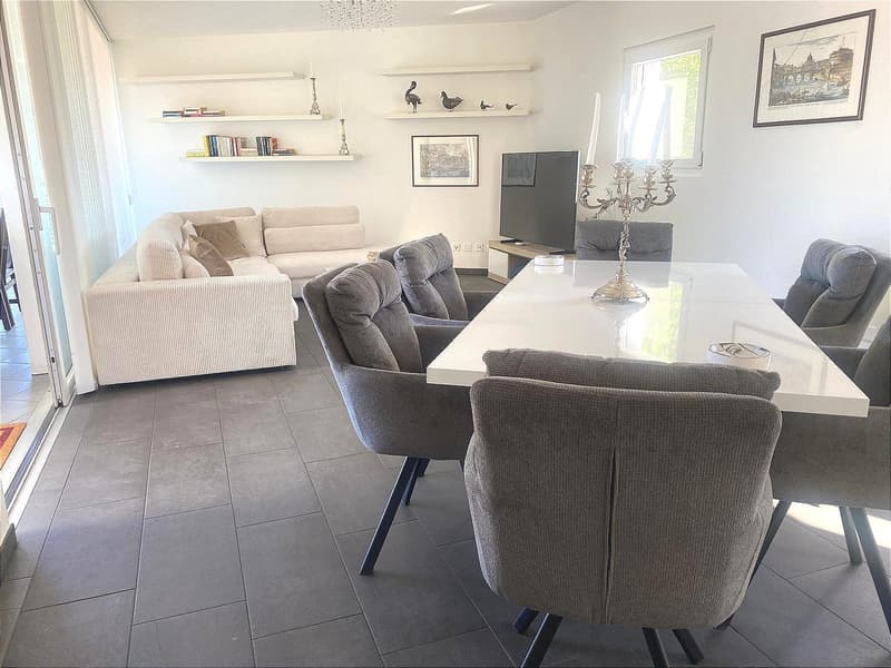 Unique, furnished attic penthouse, modern and bright with roof garden (3)
