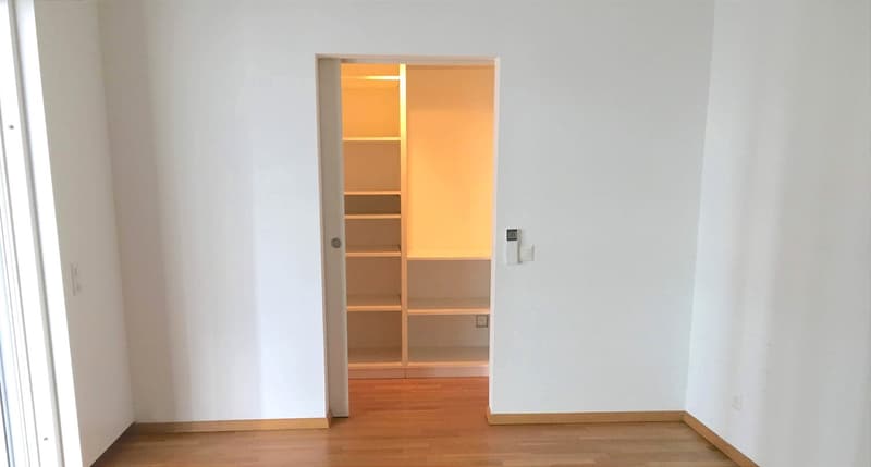 Unique, furnished attic penthouse, modern and bright with roof garden (20)