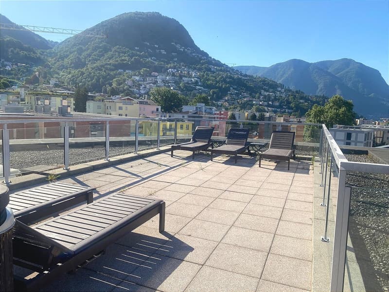 Unique, furnished attic penthouse, modern and bright with roof garden (23)