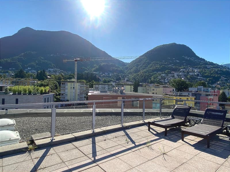 Unique, furnished attic penthouse, modern and bright with roof garden (24)