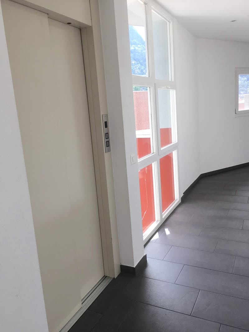 Unique, furnished attic penthouse, modern and bright with roof garden (14)