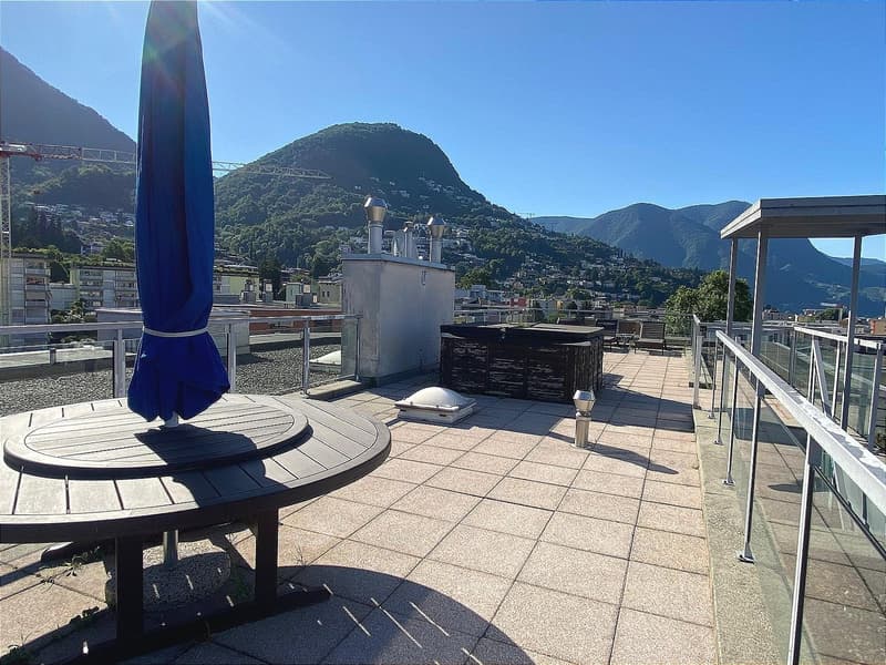 Unique, furnished attic penthouse, modern and bright with roof garden (22)
