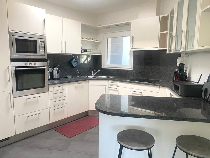 Unique, furnished attic penthouse, modern and bright with roof garden (17)