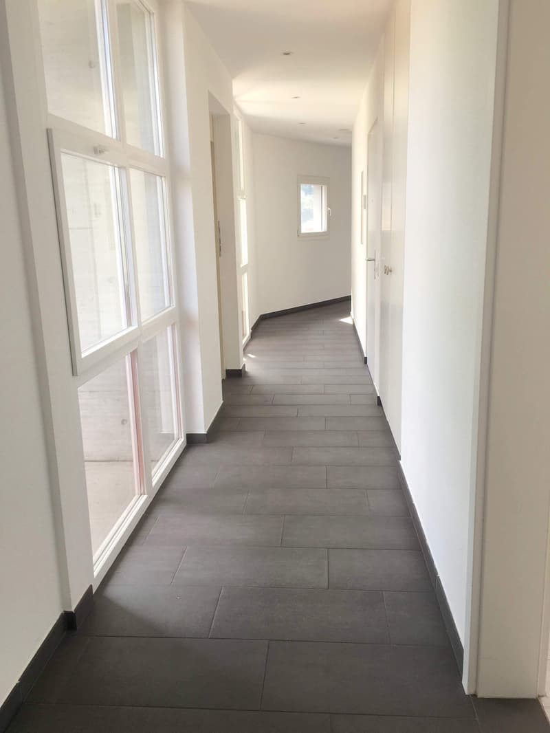 Unique, furnished attic penthouse, modern and bright with roof garden (9)