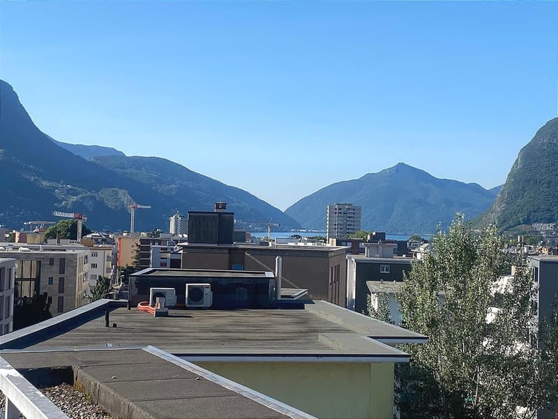 Unique, furnished attic penthouse, modern and bright with roof garden (1)