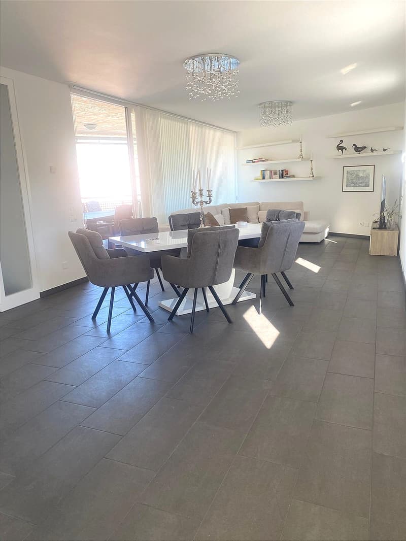 Unique, furnished attic penthouse, modern and bright with roof garden (2)