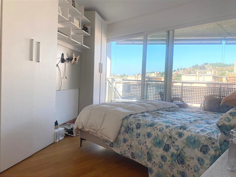 Unique, furnished attic penthouse, modern and bright with roof garden (6)