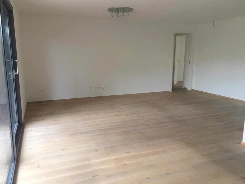 Pregassona, elegantes 4,5-Zimmer-Wohnung mit Garten (3)