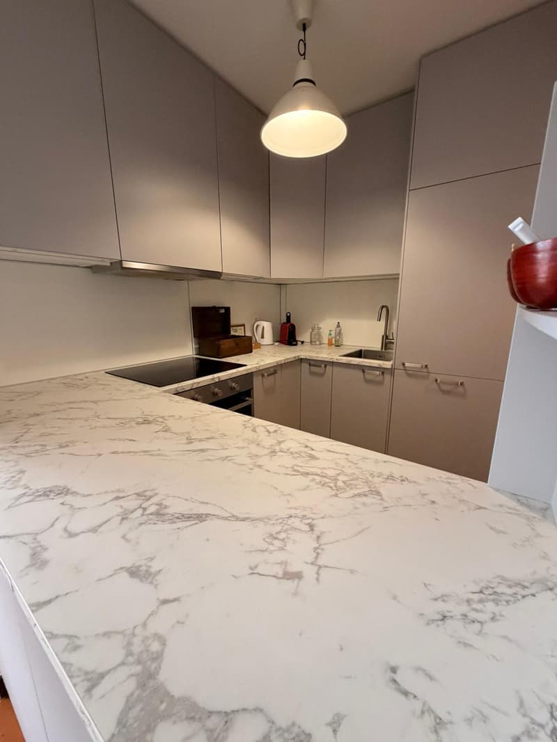 Appartamento con piscina ad Agra (4)