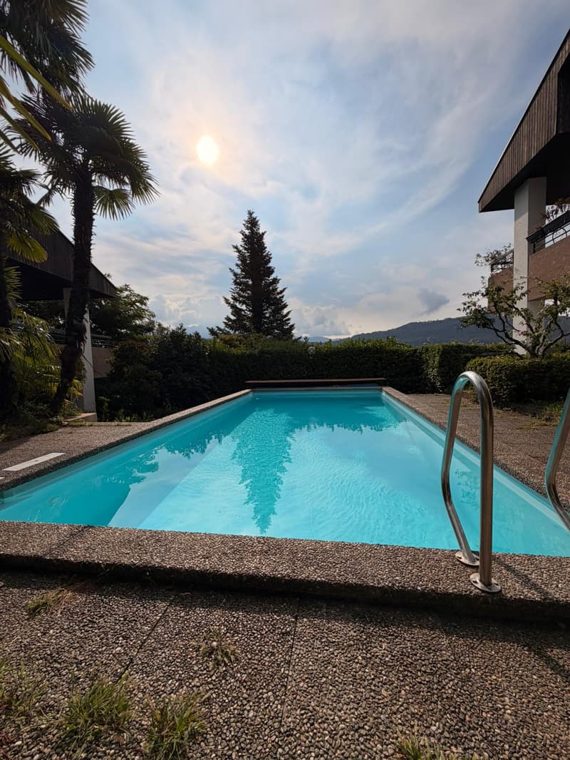 Appartamento con piscina ad Agra (16)